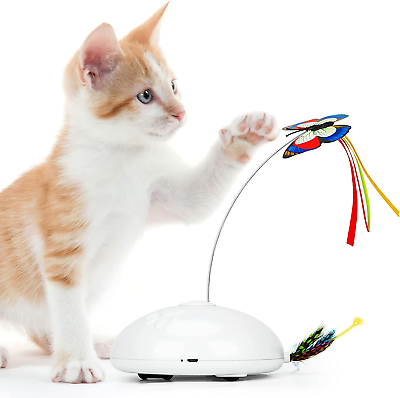 giochi interattivi per gatti